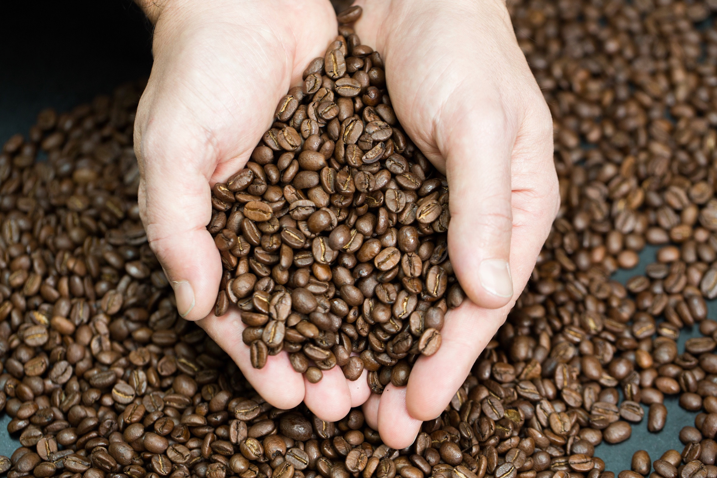 The coffee that heals- KING COFFEE — Rooted In Health